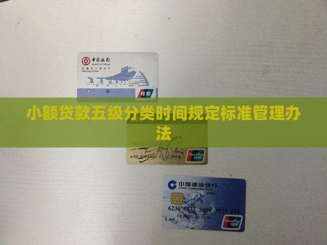 小额贷款五级分类时间