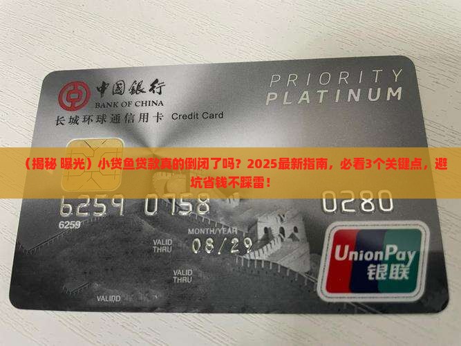 小贷鱼贷款倒闭了吗