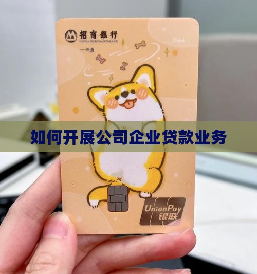 如何开展公司类贷款业务