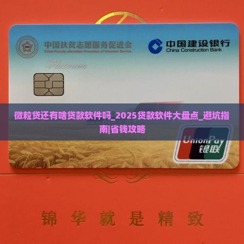 微粒贷还有啥贷款软件吗