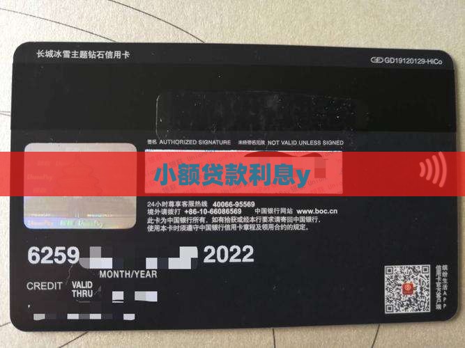 小额贷款利息y