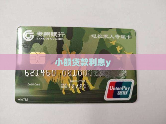 小额贷款利息y