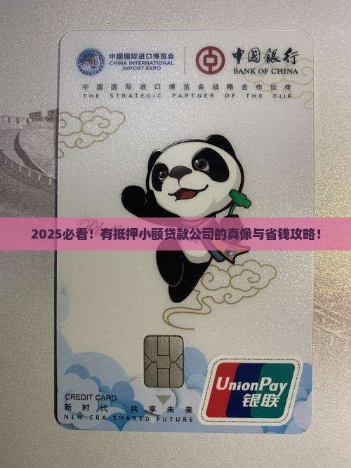 有抵押小额贷款公司吗
