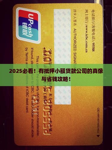 有抵押小额贷款公司吗