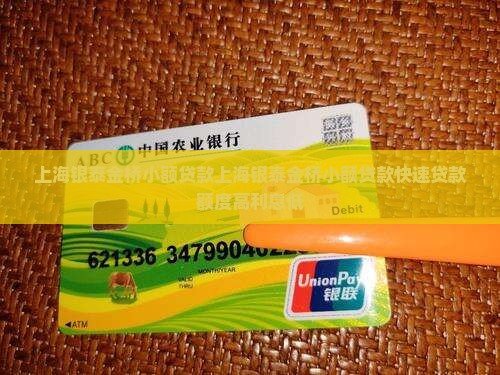 上海银泰金桥小额贷款