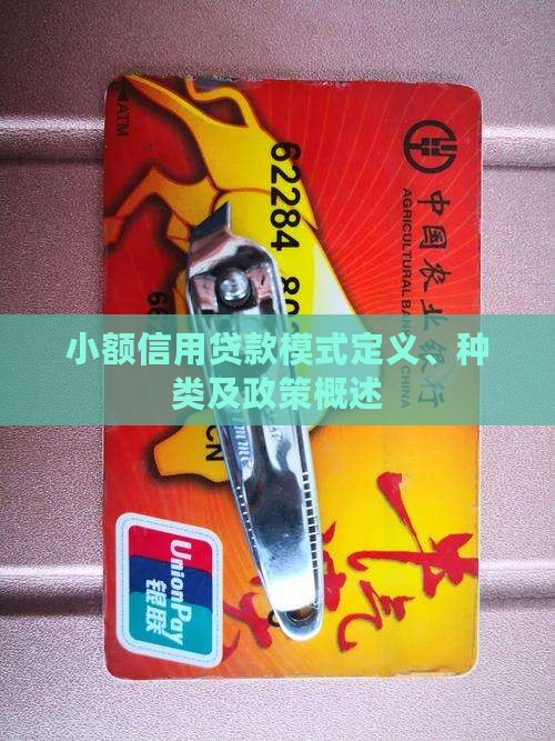 小额信用贷款模式