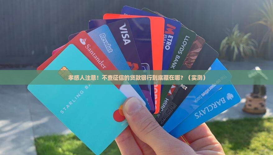 孝感不看征信的贷款银行