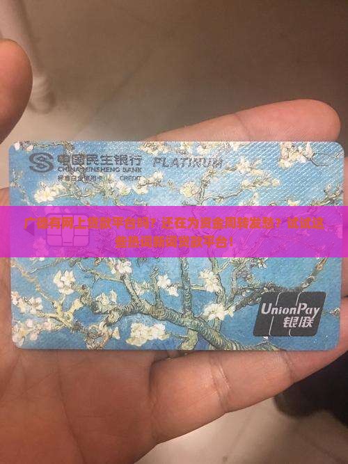 广德有网上贷款平台吗