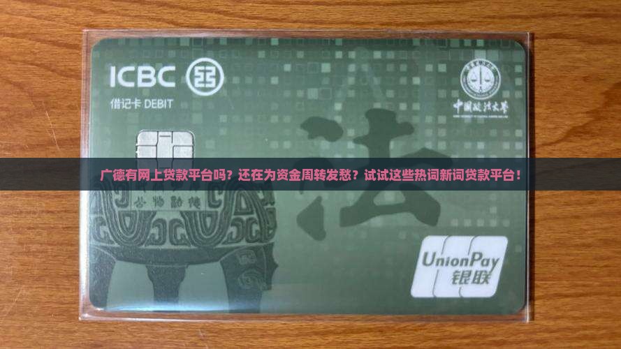 广德有网上贷款平台吗
