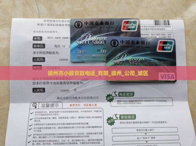 德州贷款分期公司电话