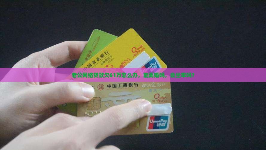 老公网络贷款欠61万