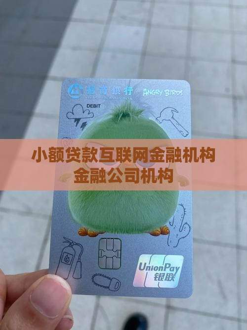 小额贷款互联网金融机构