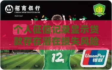 个人征信记录显示贷款存在潜在损失风险