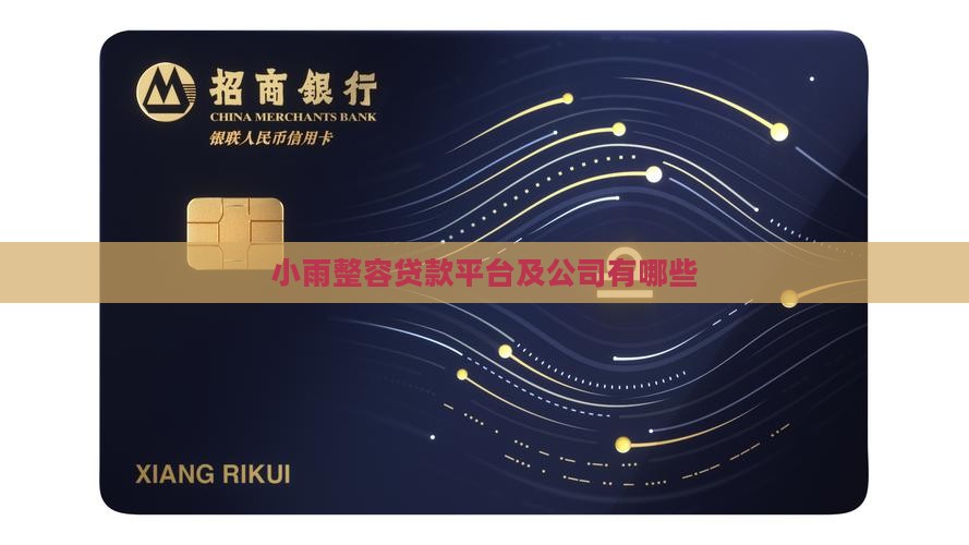 小雨整容贷款平台及公司有哪些