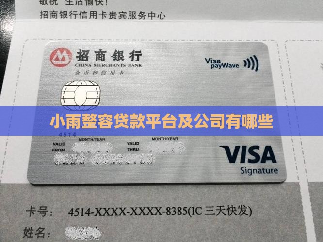 小雨整容贷款平台及公司有哪些