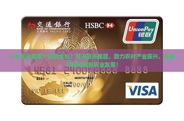 小米贷款是哪个省的企业？解决融资难题，助力农村产业振兴，金融科技赋能新农业发展！