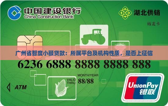 广州省智度小额贷款：所属平台及机构性质，是否上征信