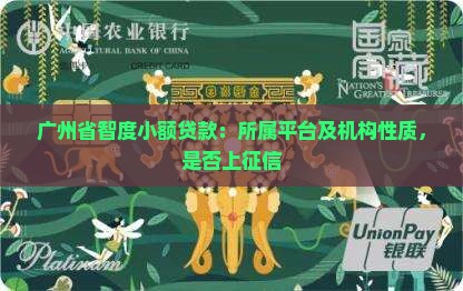 广州省智度小额贷款：所属平台及机构性质，是否上征信