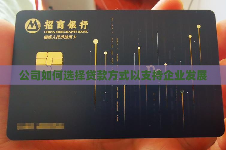 公司如何选择贷款方式以支持企业发展