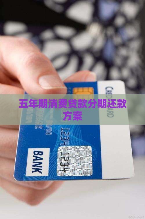 五年期消费贷款分期还款方案