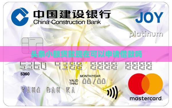 头条小额贷款现在可以申请借款吗