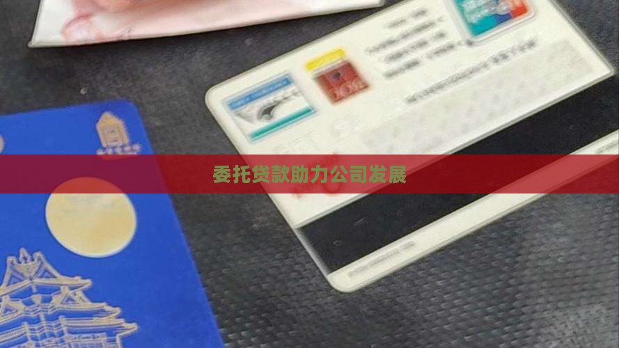 委托贷款助力公司发展