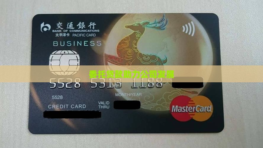 委托贷款助力公司发展