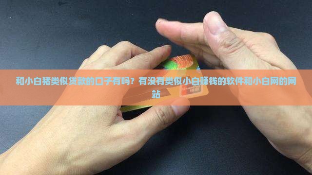 和小白猪类似贷款的口子有吗？有没有类似小白赚钱的软件和小白网的网站