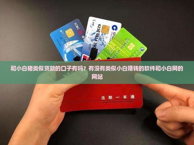 和小白猪类似贷款的口子有吗？有没有类似小白赚钱的软件和小白网的网站