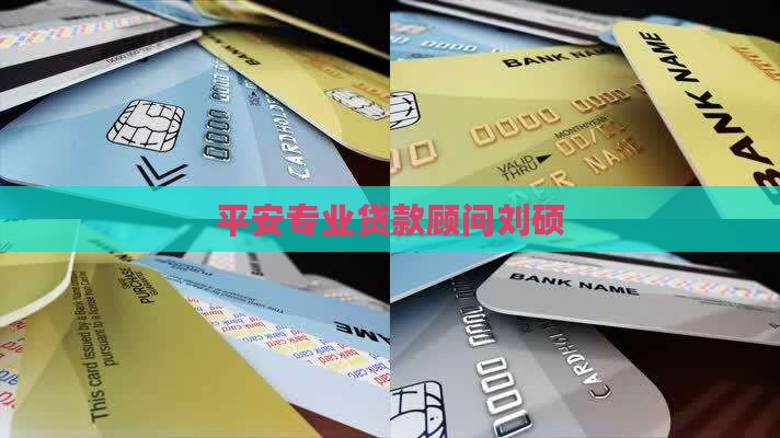平安专业贷款顾问刘硕