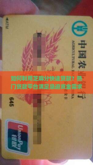 如何利用芝麻分快速贷款？热门贷款平台满足急迫资金需求！