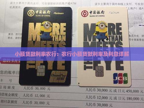 小额贷款利率农行：农行小额贷款利率及利息详解