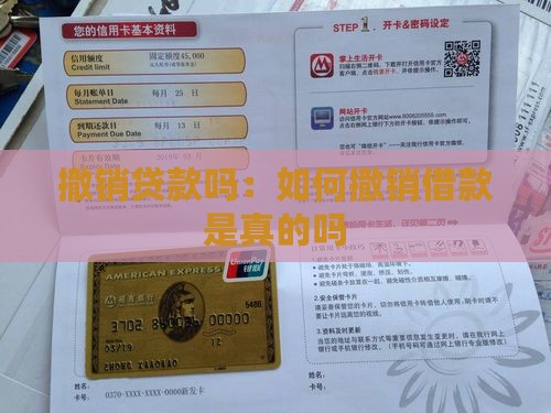 撤销贷款吗：如何撤销借款是真的吗