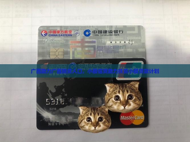 广西助力广西脱贫人口，小额信贷助力扶贫小额贷款计划