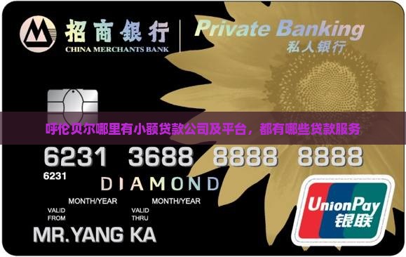 呼伦贝尔哪里有小额贷款公司及平台，都有哪些贷款服务