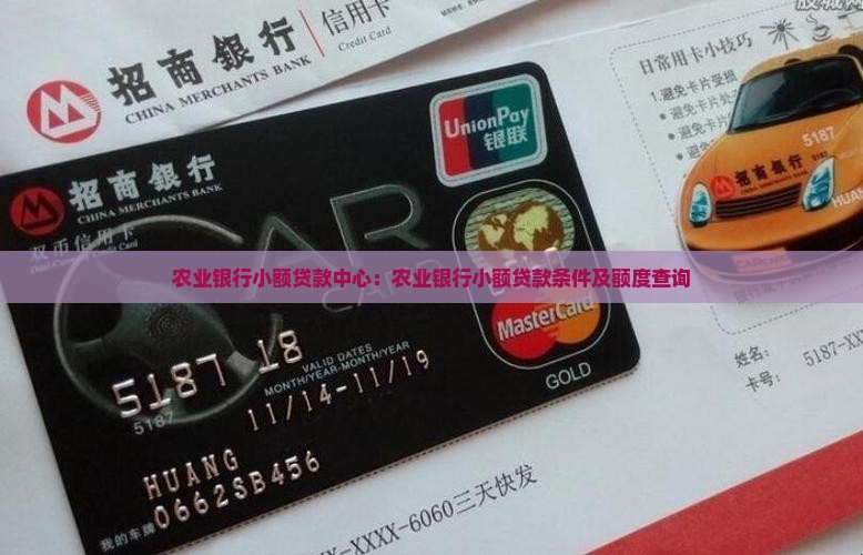 农业银行小额贷款中心：农业银行小额贷款条件及额度查询