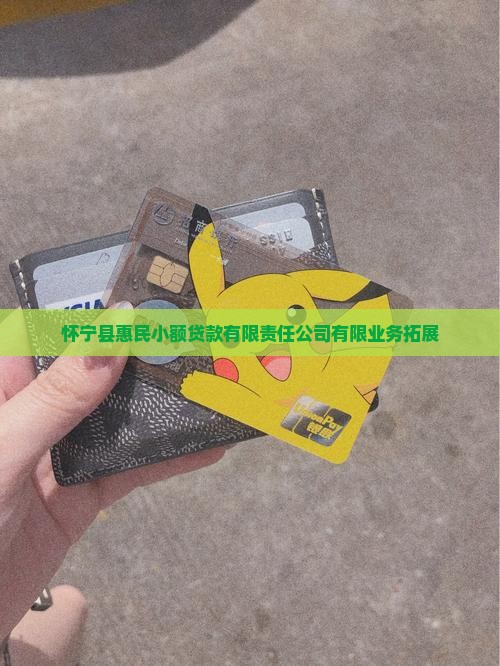 怀宁县惠民小额贷款有限责任公司有限业务拓展