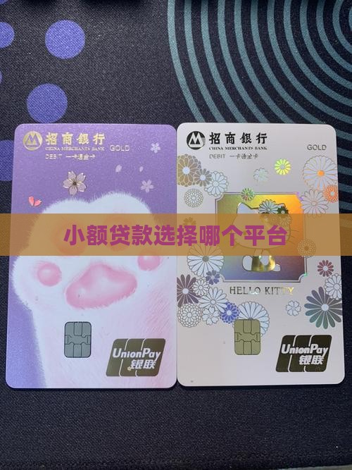 小额贷款选择哪个平台 小额贷款选择哪个平台