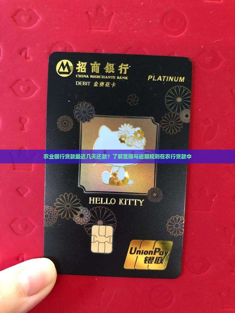 农业银行贷款最迟几天还款？了解宽限与逾期规则在农行贷款中