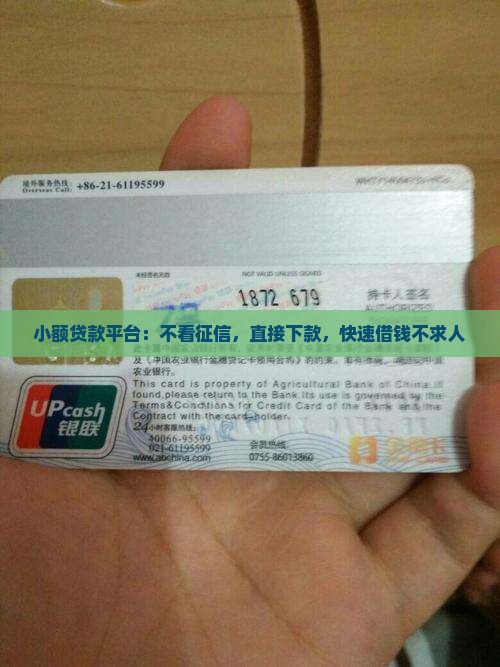 小额贷款平台：不看征信，直接下款，快速借钱不求人