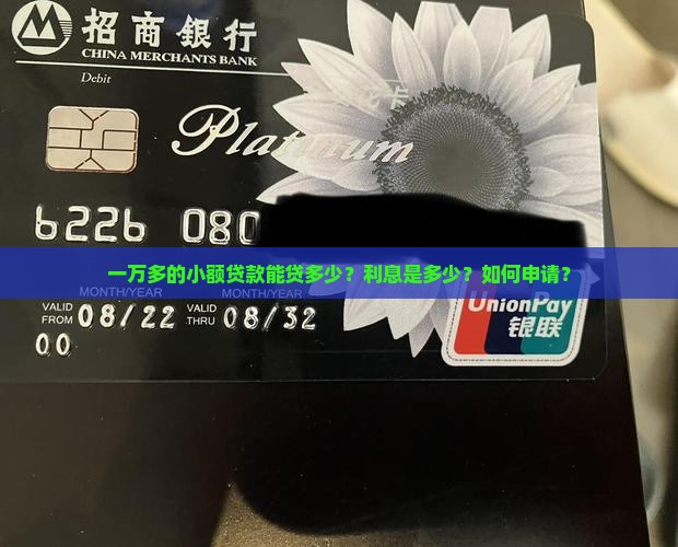 一万多的小额贷款能贷多少？利息是多少？如何申请？