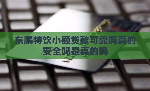 东鹏特饮小额贷款可靠吗真的安全吗是真的吗