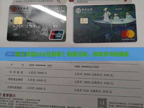 网上贷款600元到账？的看过来，信用卡与的秘密