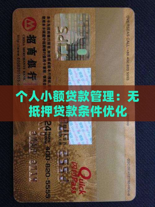 个人小额贷款管理：无抵押贷款条件优化