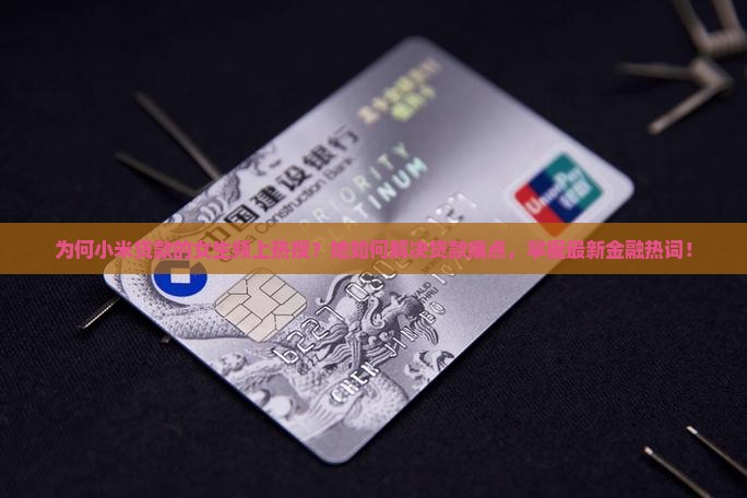 为何小米贷款的女生频上热搜？她如何解决贷款痛点，掌握最新金融热词！