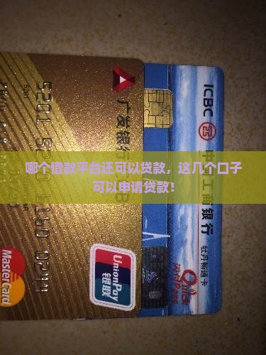 哪个借款平台还可以贷款，这几个口子可以申请贷款！
