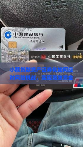 小额贷款资产证券化如何应对风险挑战，实现高效资金流转？