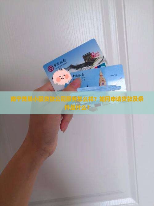 南宁茂晨小额贷款公司服务怎么样？如何申请贷款及条件是什么？