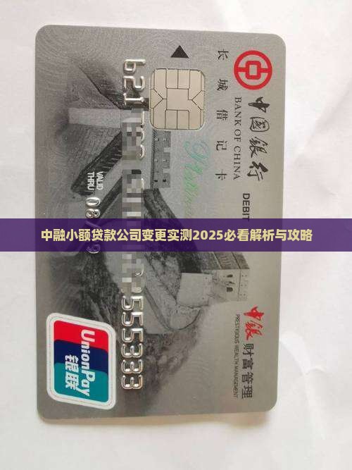 中融小额贷款变更