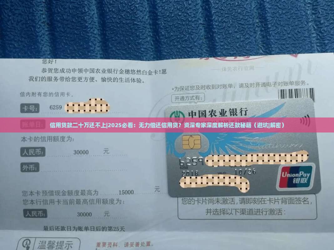 信用贷款二十万还不上